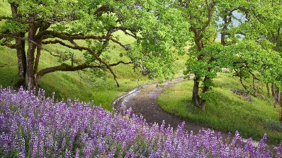 Surprise az locksmith